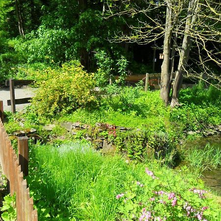 Hoellenmuehle Bed & Breakfast At The Mill Pond Hessisch Oldendorf Εξωτερικό φωτογραφία