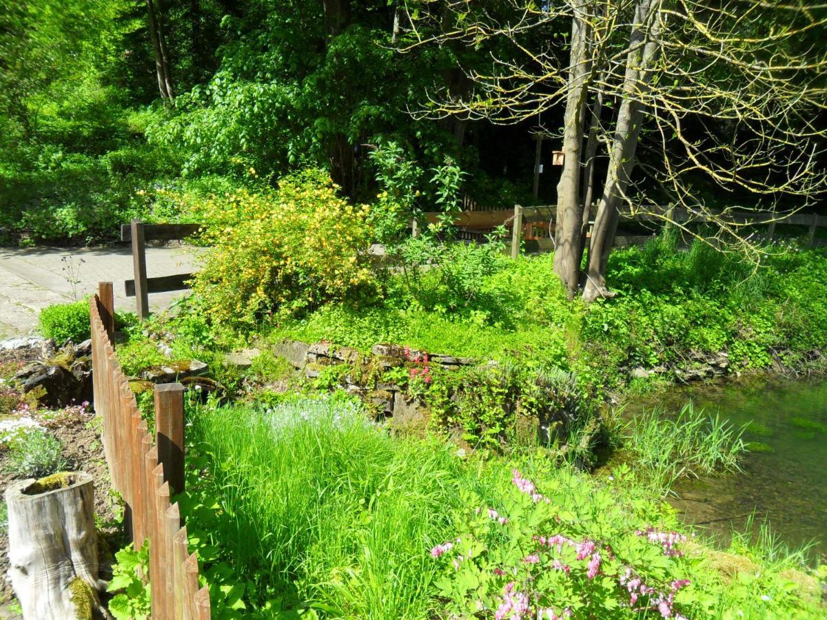 Hoellenmuehle Bed & Breakfast At The Mill Pond Hessisch Oldendorf Εξωτερικό φωτογραφία