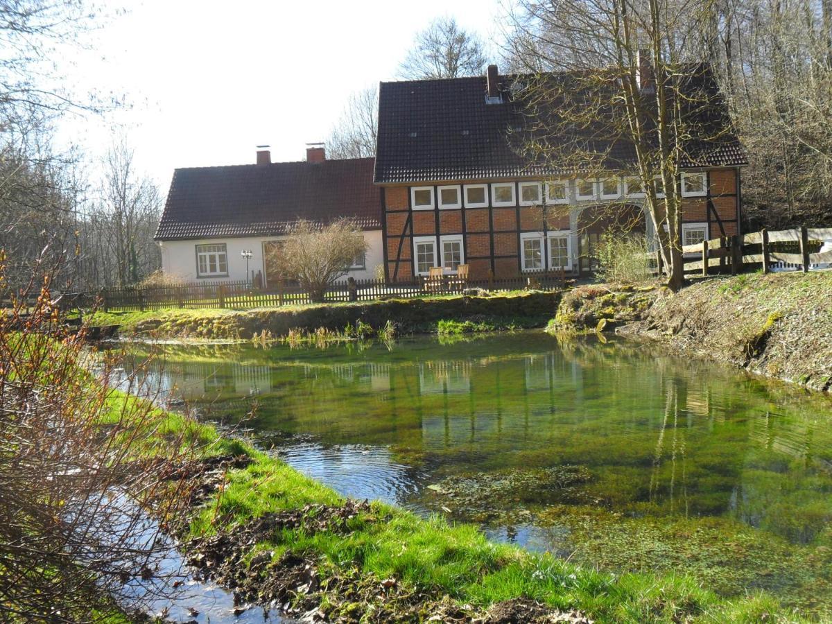 Hoellenmuehle Bed & Breakfast At The Mill Pond Hessisch Oldendorf Εξωτερικό φωτογραφία