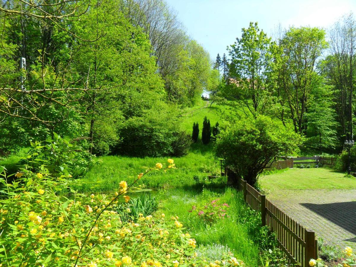Hoellenmuehle Bed & Breakfast At The Mill Pond Hessisch Oldendorf Εξωτερικό φωτογραφία
